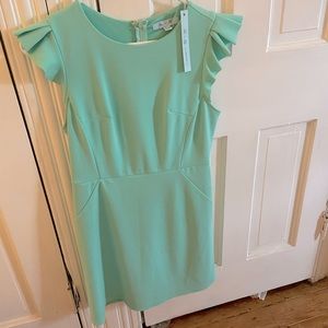 GORGEOUS mint dress, NWOT